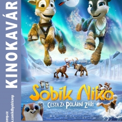 SOBÍK NIKO: CESTA ZA POLÁRNÍ ZÁŘI