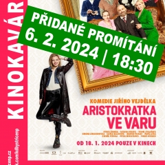 ARISTOKRATKA VE VARU